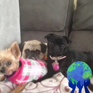 Meet your Posher, Carol